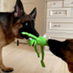 Meet your Posher, Daniela